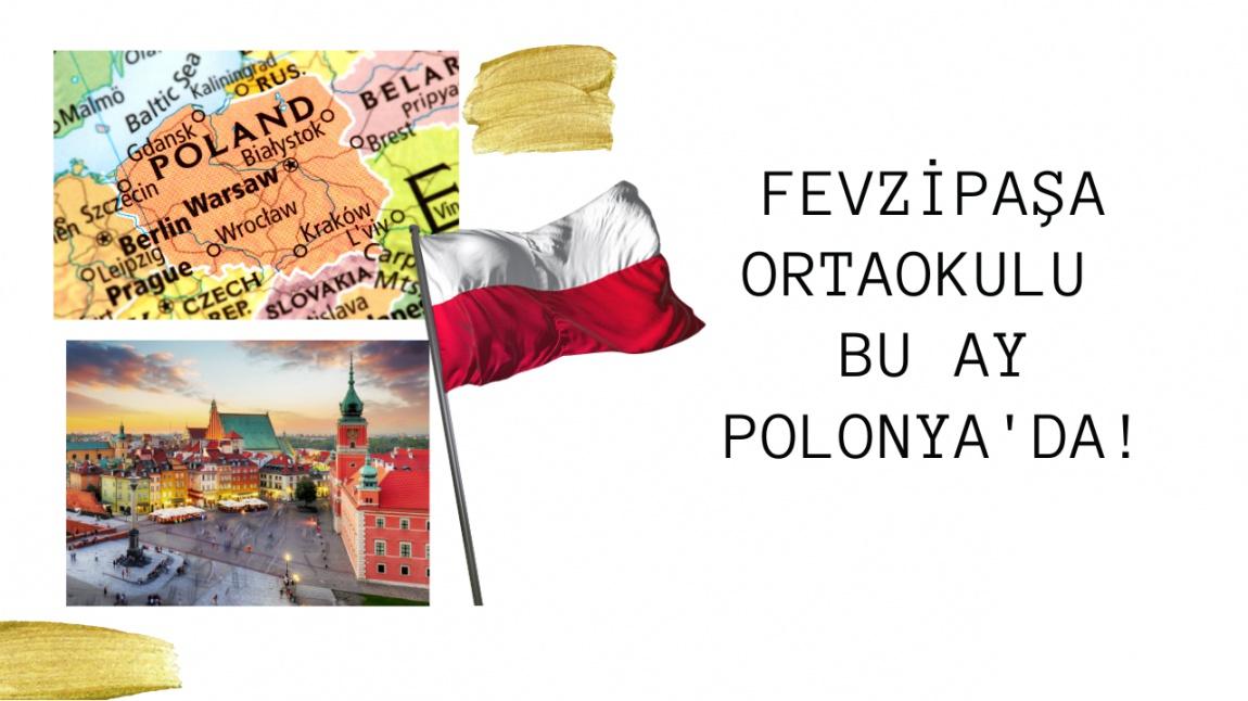 Travel & Learn - Polonya Yemekleri
